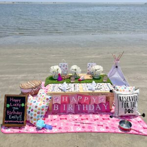 picnic at the beach for a birthday