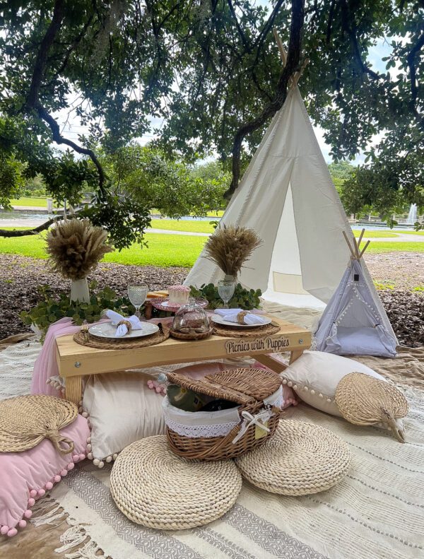picnic table and tents