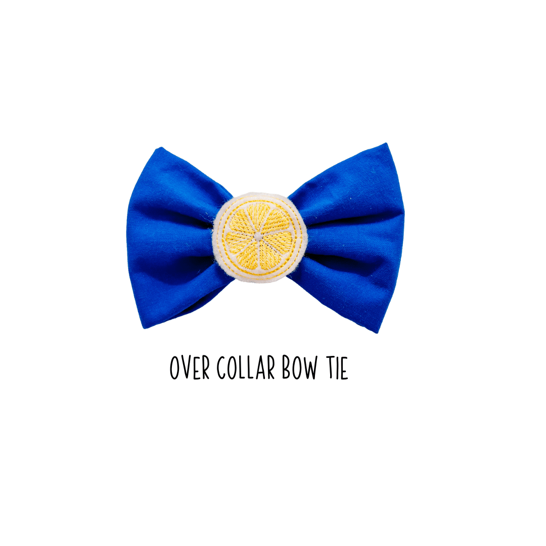 Amalfi blue over collar bow tie