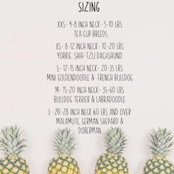 A pineapple with a Bandana Size Chart in front of it.